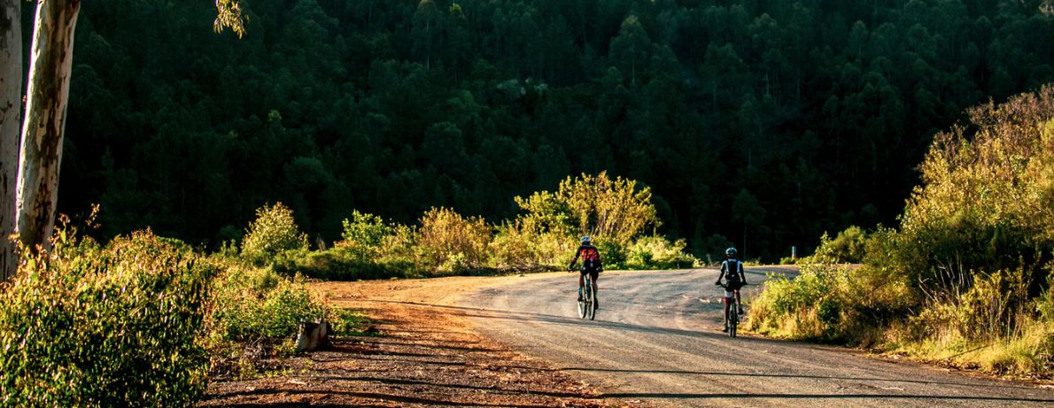 Group of Cyclists